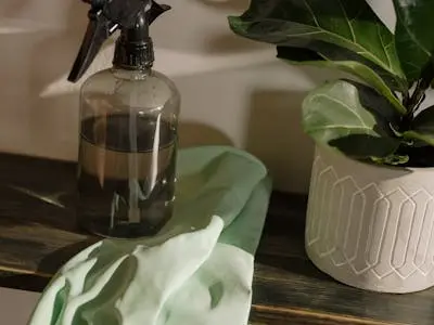 Cleaning