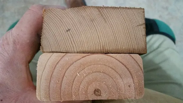 Slow-growth vs fast-growth wood ring comparison