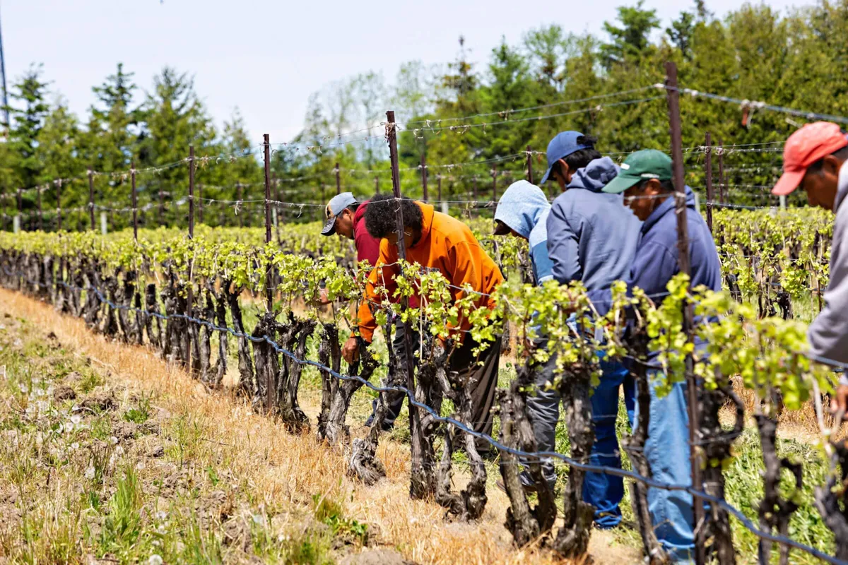 Migrant farm workers in field conditions