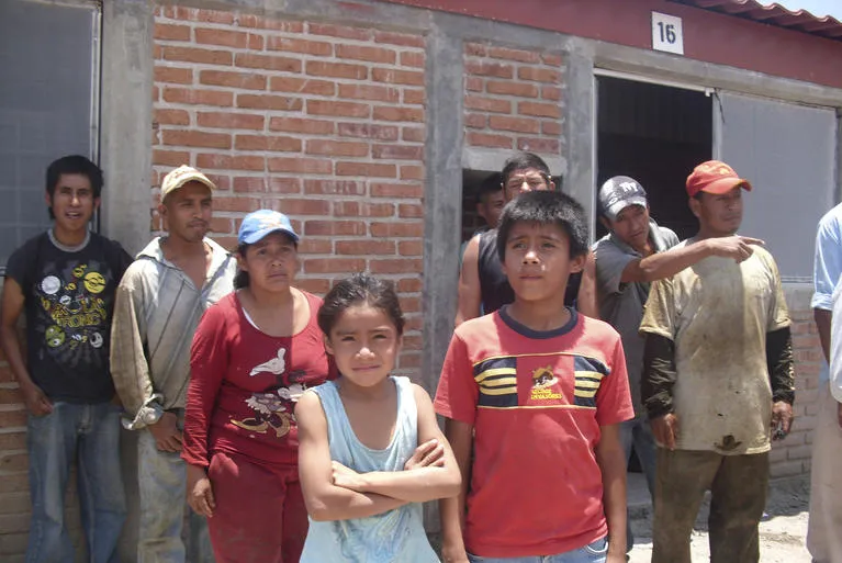 Children working in international agriculture