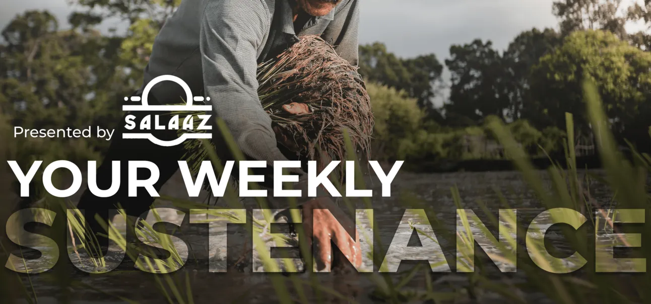 Salaaz: Your Weekly Sustenance — Why We Stopped Drinking Coca-Cola