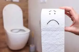 Toilet paper roll on a holder