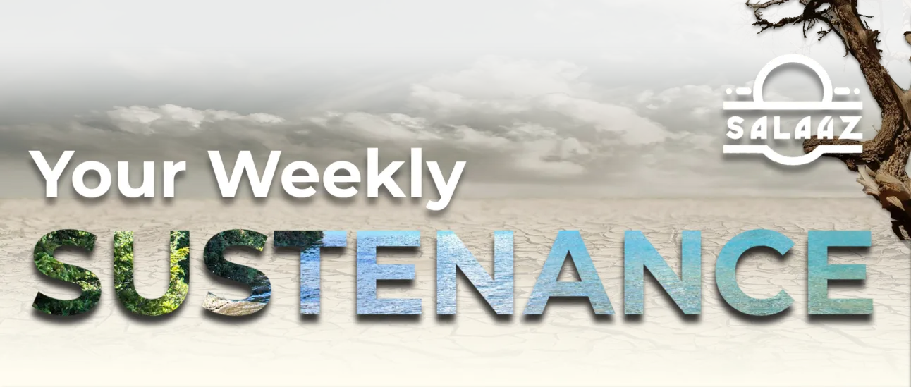Boycotts Under Attack: Anti-BDS Laws and Campus Crackdowns