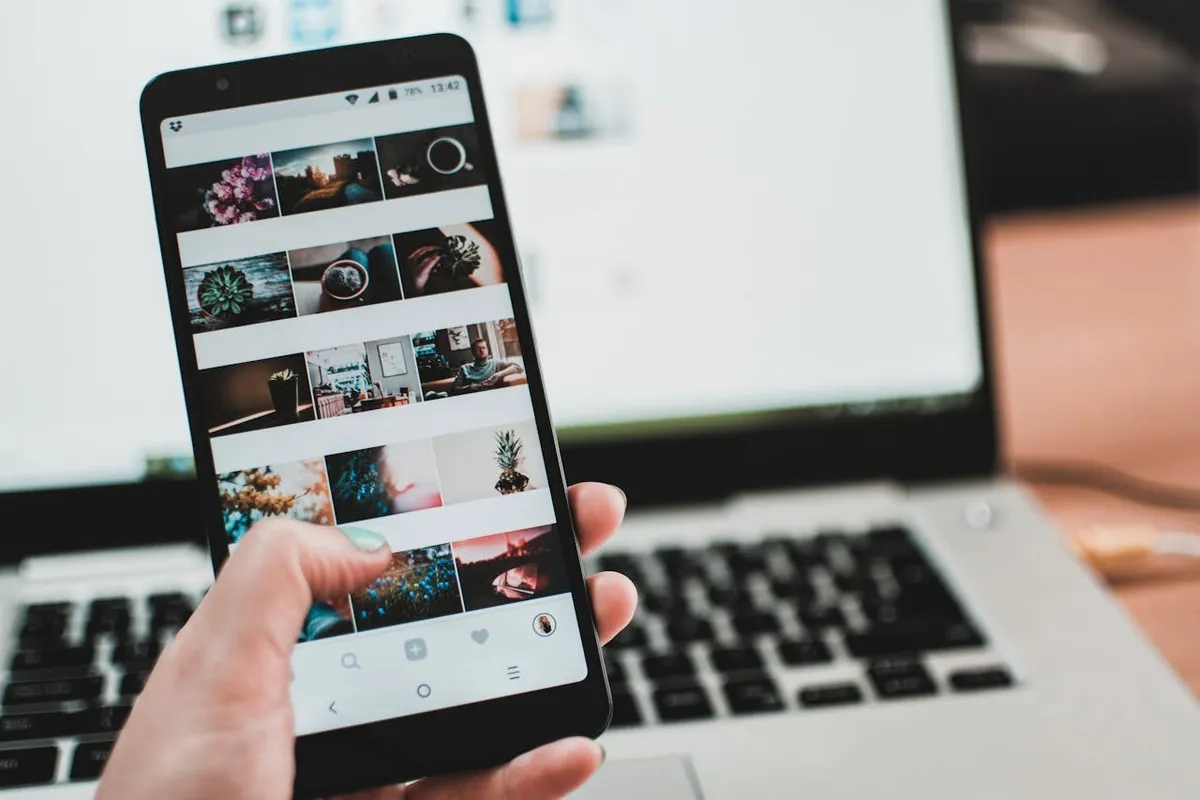 Social media platform concentration